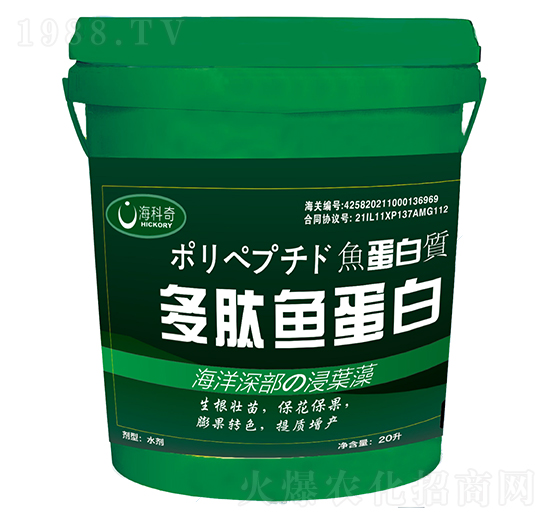 �����~����-������