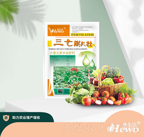 ��������-�A����