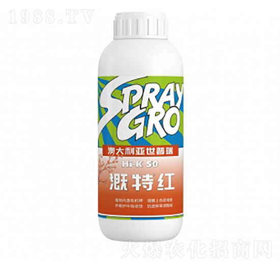 ���ؼt-�����ط�