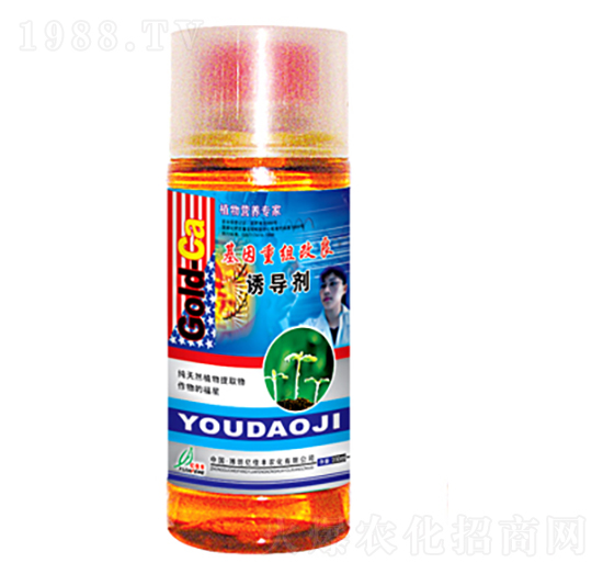 �T��(d��o)��-�|���S