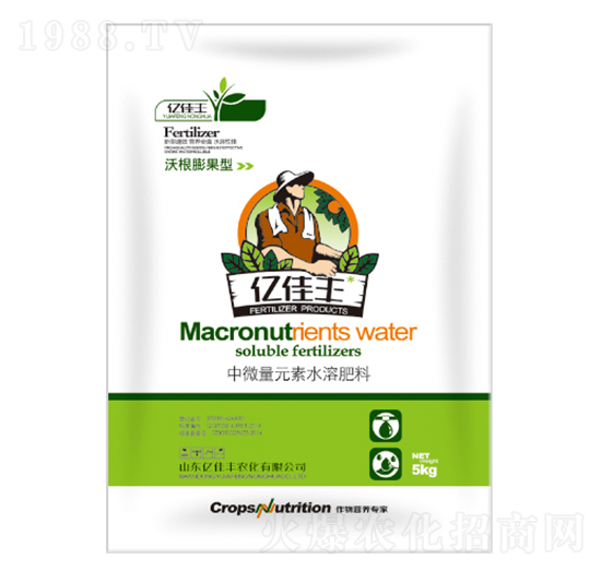 �ָ��������΢��Ԫ��ˮ�ܷ���-�|���S