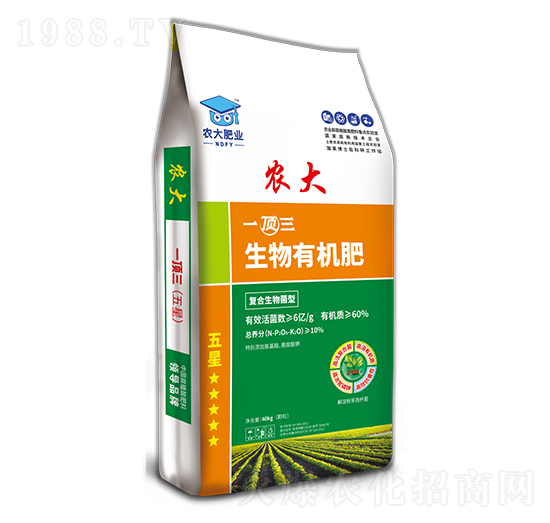 �����ЙC(j��)���w��-һ��������ǣ�-�r(n��ng)�����B(t��i)