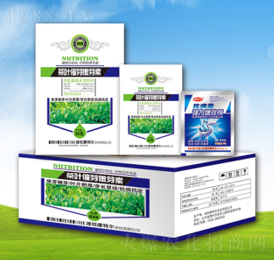 ���~��ѿ��ѿ��-���ؠ��r(n��ng)��