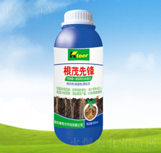 ��ï���h�~���-���ؠ��r��