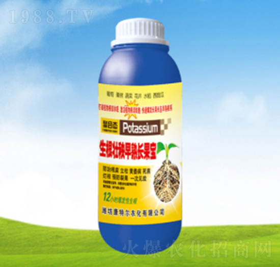 �������������L(zh��ng)����-���ؠ��r(n��ng)��