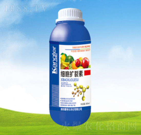 ��(x��)���U(ku��)����-���ؠ��r(n��ng)��