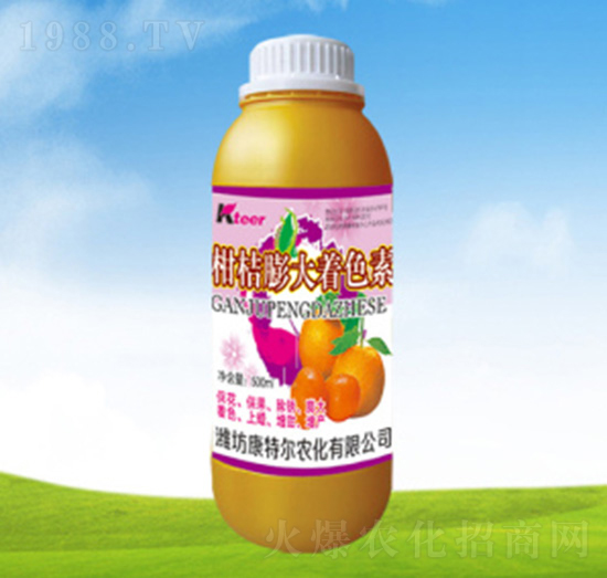 �̽������ɫ��-���ؠ��r(n��ng)��