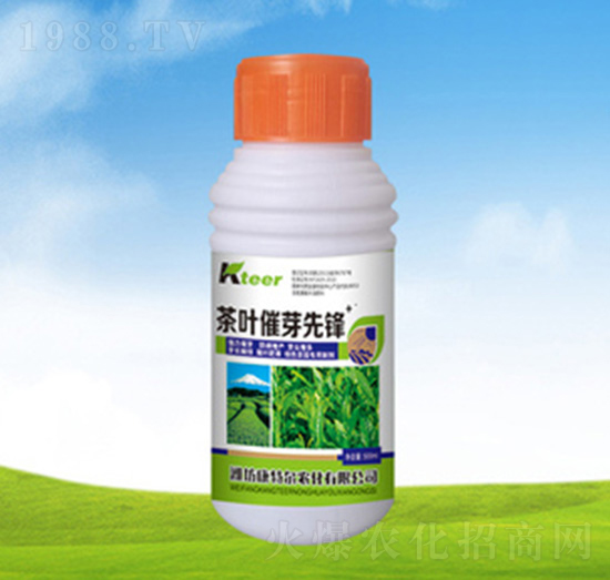 ƿ�b���~��ѿ���h-���ؠ��r��