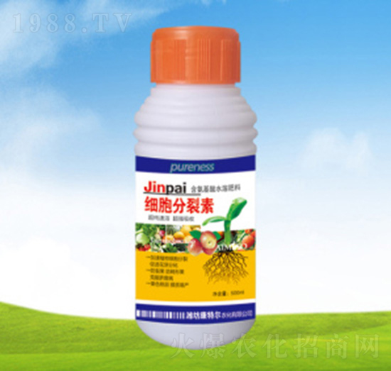 ��(x��)��������-���ؠ��r(n��ng)��