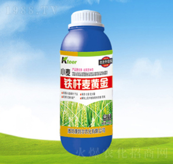 �F�U���S��-���ؠ��r(n��ng)��