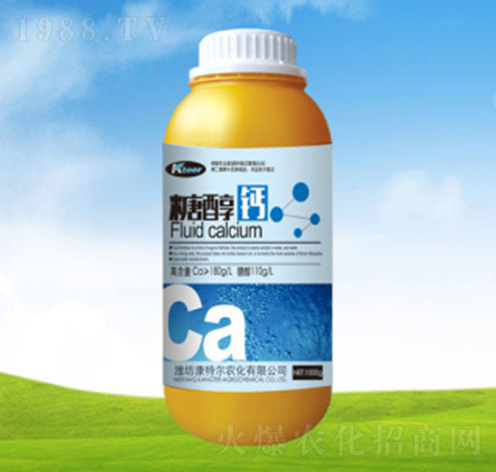 1000���Ǵ��}-���ؠ��r��