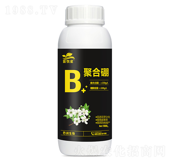 �ۺ���-�琂��-�͝�����