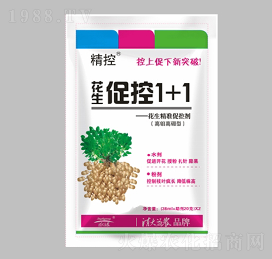 �����ٿ�1+1-����-������r(n��ng)