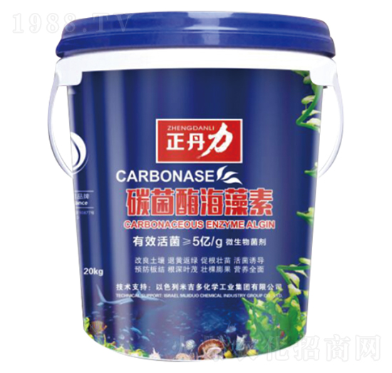 ̼��ø������-������-���P�(y��ng)