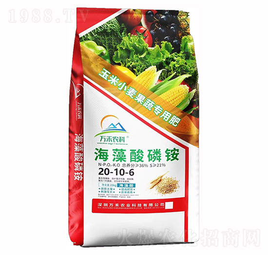 ���������@20-10-6-�f���r�I(y��)