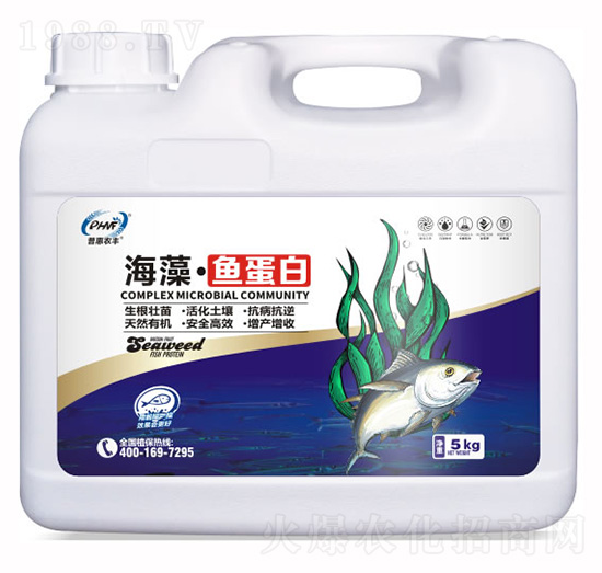 �����~����-�ջ��r�S