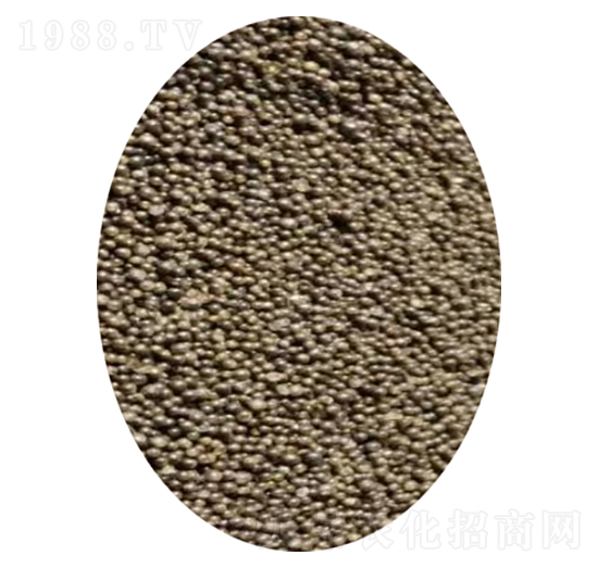 ���Ч3�����أ��w����-��ɳ��-���컯�r�Y