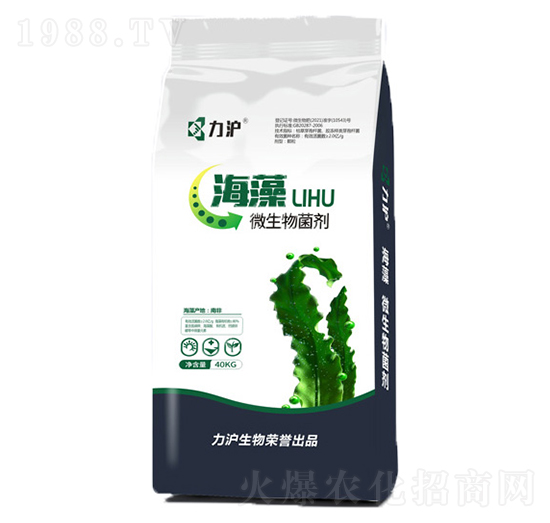 ����΢�������-��������