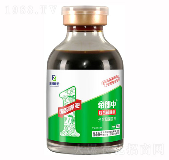 ������-��ϼ�(x��)������-����Ҽ��