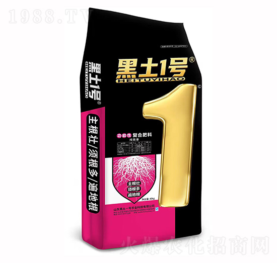 ����������ԏ�(f��)�Ϸ���-����1̖