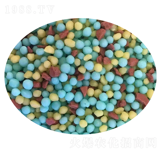 �����w��-���ϻ���