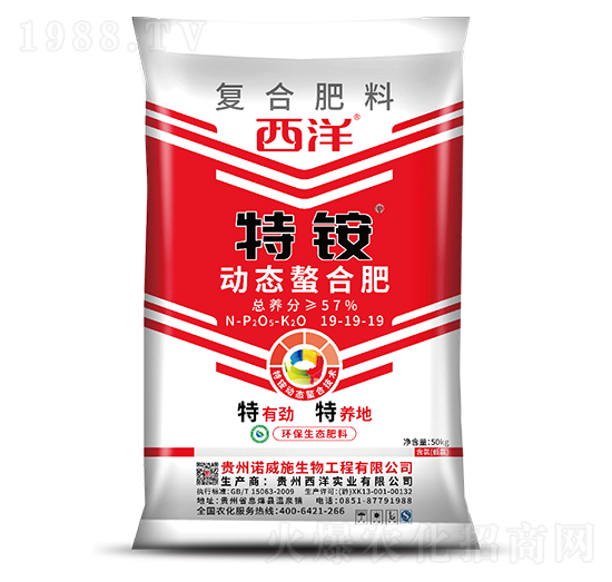 �ӑB(t��i)���Ϗ�(f��)�Ϸ���19-19-19-���@-���������B(t��i)