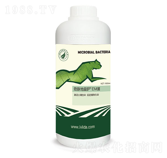 EM��-���}�����o(h��)-�G���_(d��)