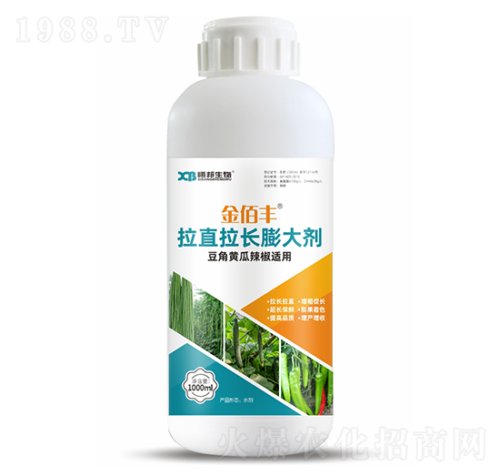 �����S�������m����ֱ���L(zh��ng)���-����S-�ذ�����