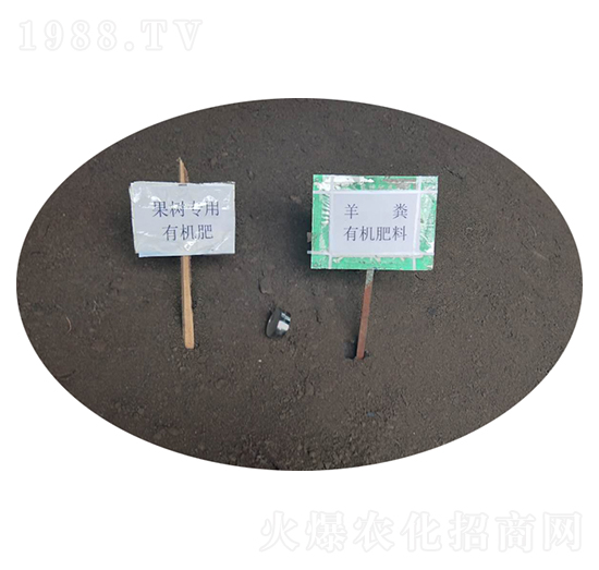 ��S�ЙC(j��)��-�r(n��ng)��ʘI(y��)