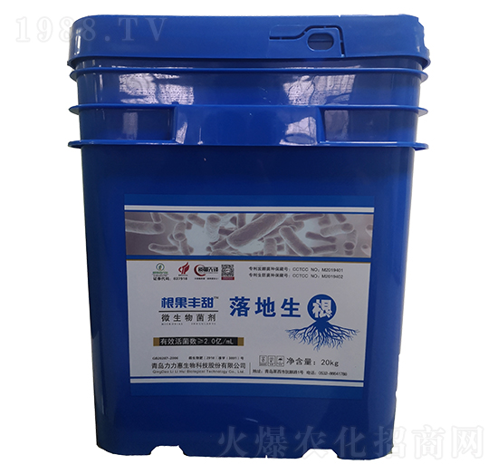 �������΢�������-�����S��-���������B(t��i)