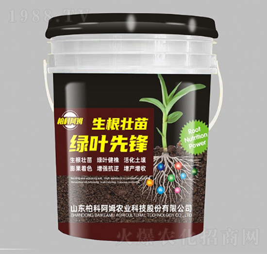 ��������G�~���h-�ؿư�ķ