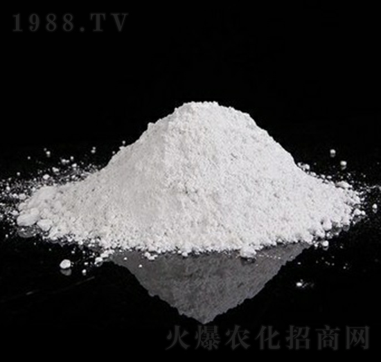 �����V�׷�-�Vï�Ƽ�