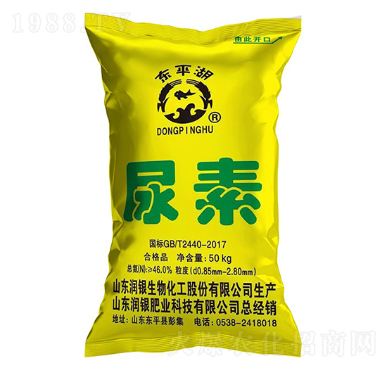 ����-�|ƽ��-���y����