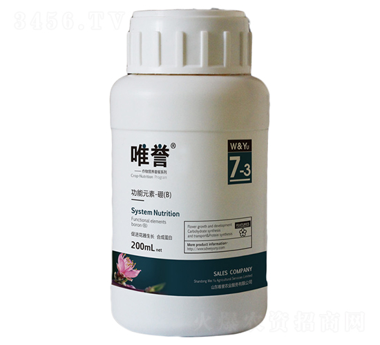 ����Ԫ����B��-Ψ�u