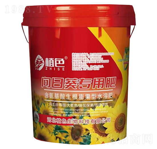 ���տ����÷�-ֲɫ����