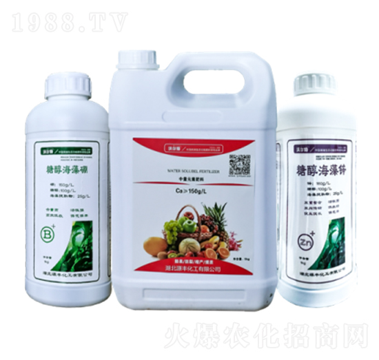 �Ǵ��\�������}-Դ�S����