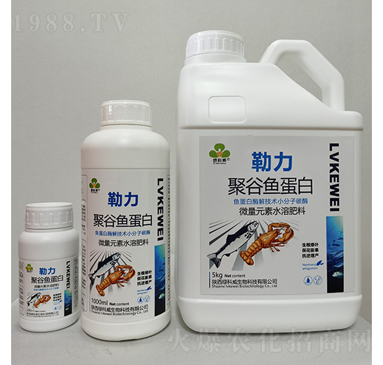 �����۹��~(y��)����-�G����