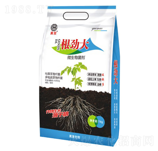 ���Ŵ�-΢�������-��ï����