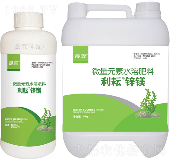 ���š��\�V-��������