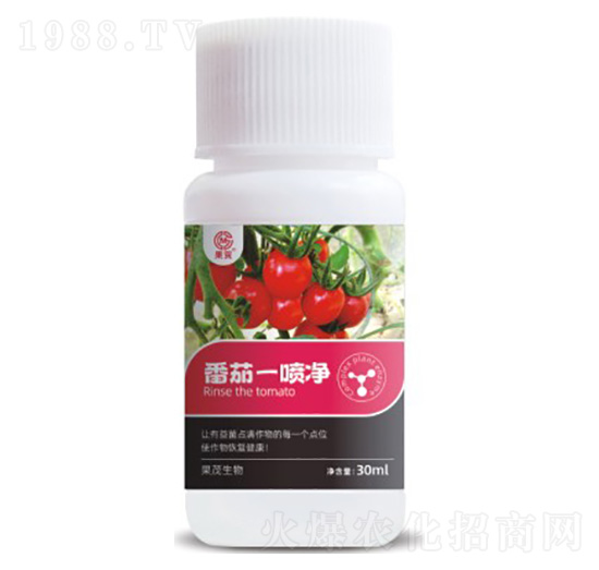 ����һ����-��ï����