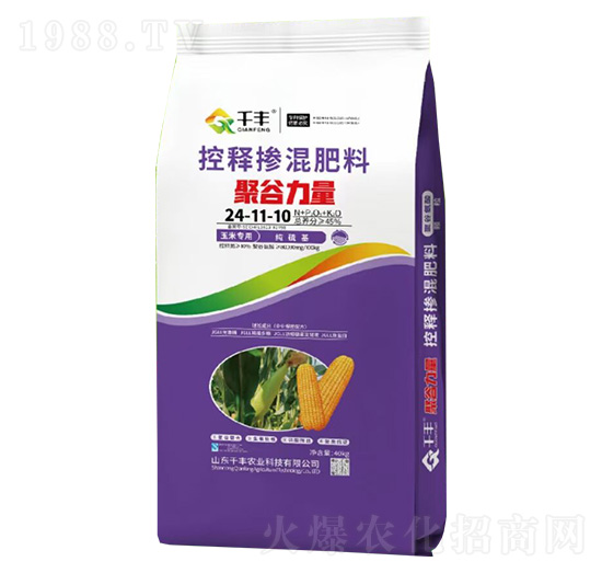 ���׌�(zhu��n)�ÿ�ጓ������24-11-10-�۹�����-ǧ�S�r(n��ng)�I(y��)