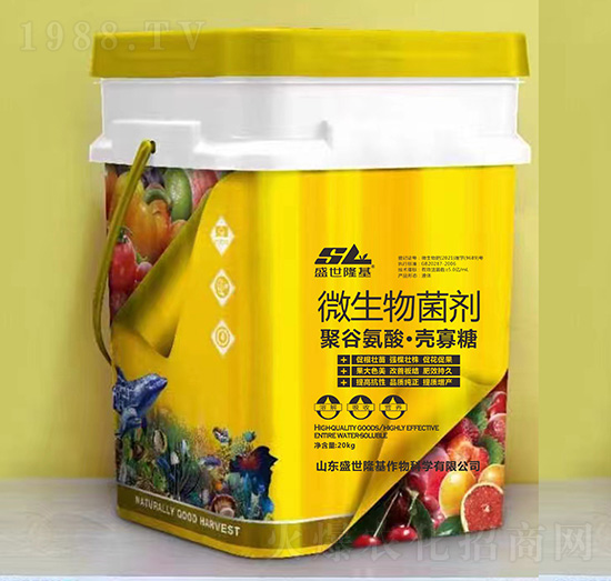 ΢�������-�۹Ȱ��ᡤ������-ʢ��¡��