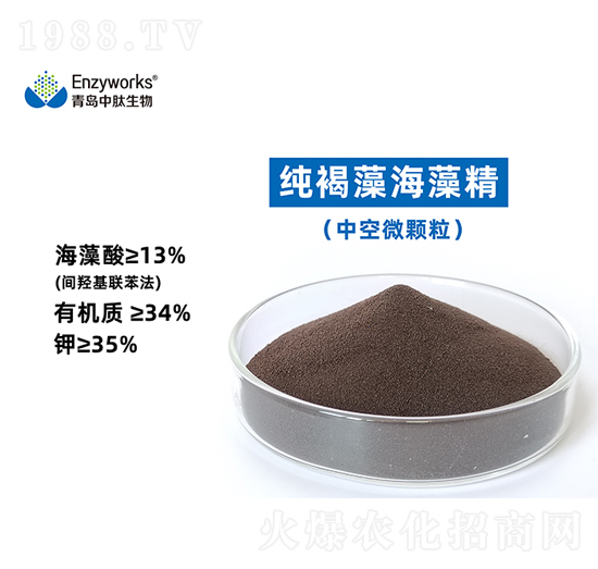 �����庣�徫(�п�΢�w��)-���u��������