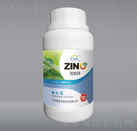 �����\-��ʢ����