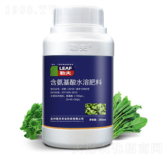 �~���~���-�շ�