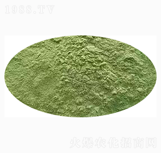 ���ڼ�(j��)�G�徫-��˹�r(n��ng)