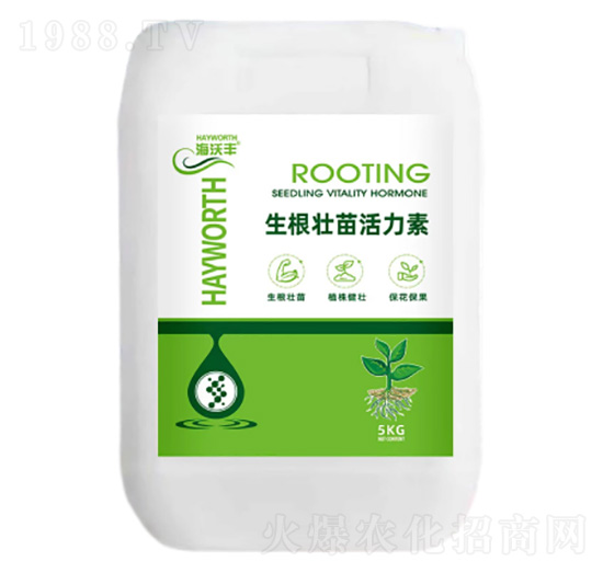 �������������-�����S-�����_(d��)����