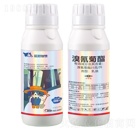 25���������������-�{؈�ǻ�