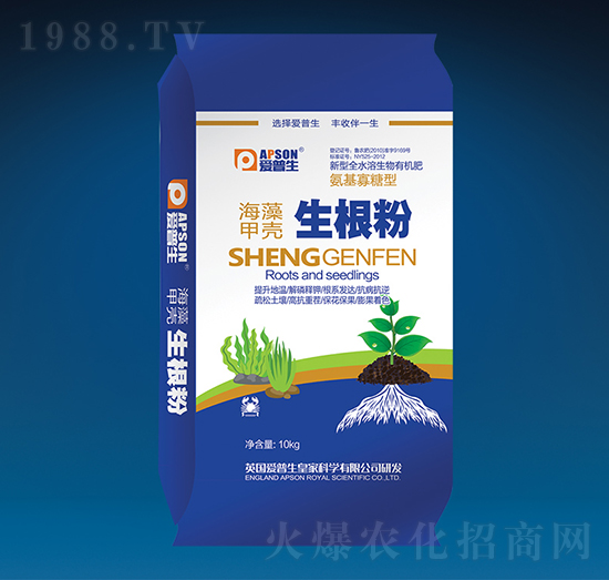 ����ך�������-��(��i)����