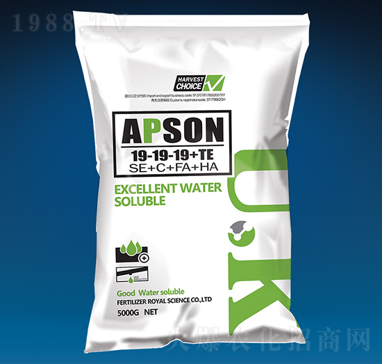 �������19-19-19+TE-��(��i)����